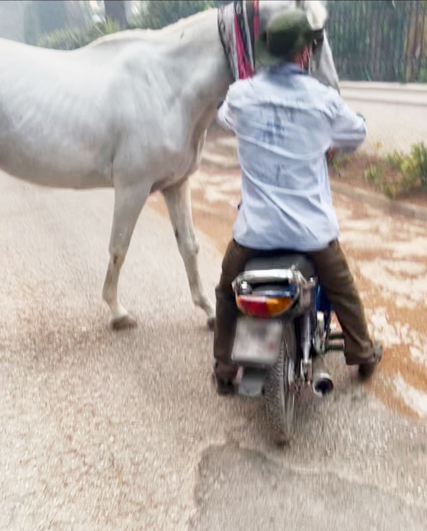 Φυσιολάτρης εθελοντής ή εμπρηστής;-1