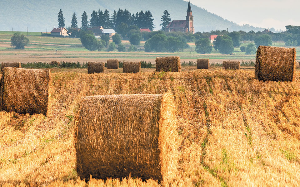 ράλι-ανόδου-τον-αύγουστο-στις-παγκόσμ-561500899