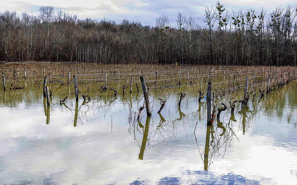 Η κλιματική αλλαγή σαρώνει και τις καλλιέργειες – Η ελληνική γεωργία σε κίνδυνο-2