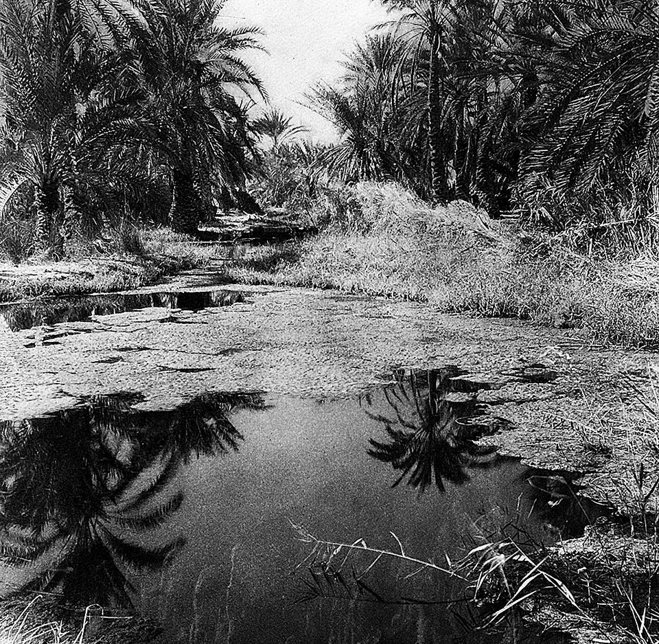 Η οδύσσεια μιας συλλογής-1