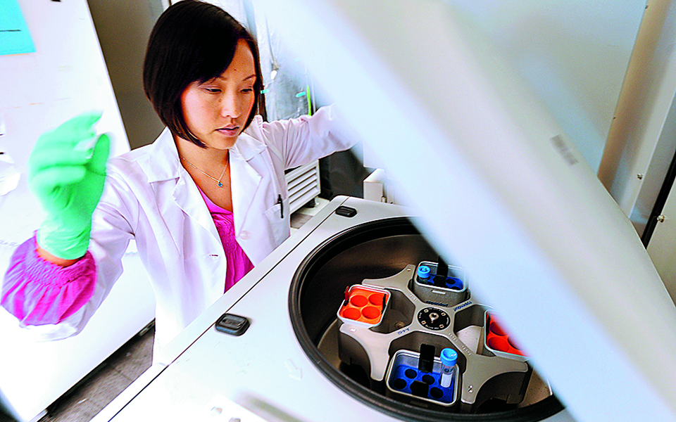 Οι αδελφοί Αντετοκούνμπο, ο Ελληνας fund manager και τα «τρίποντα» στη Wall Street-2