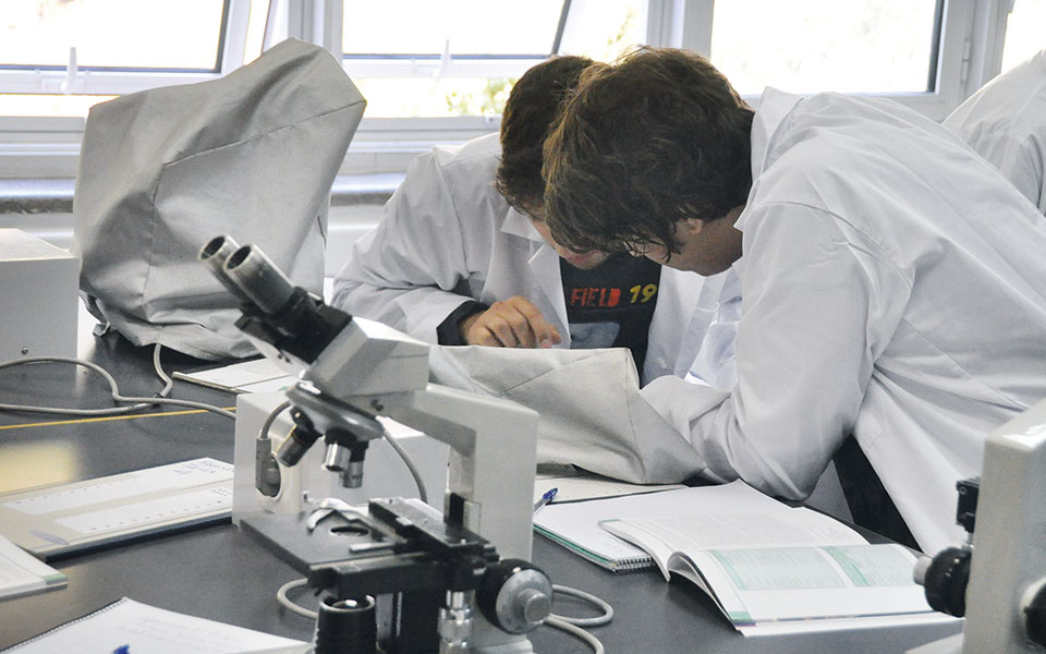 medical-degree-το-πρώτο-αγγλόφωνο-πρόγραμμα-της-561517342