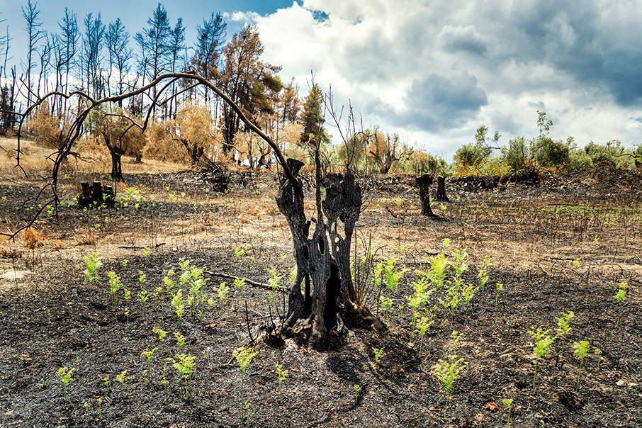 Θα επιστρέψουμε στη Βόρεια Εύβοια-1