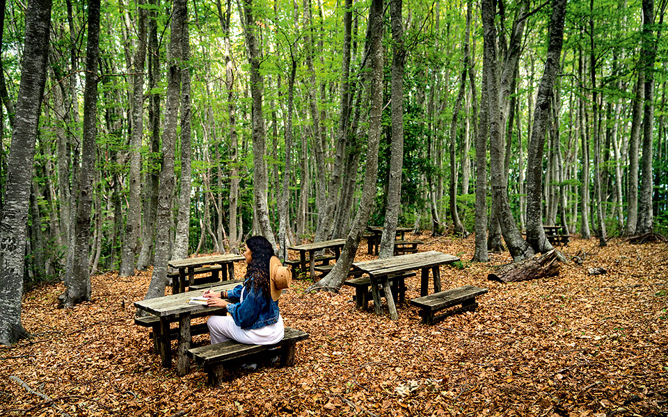 η-φύση-και-εμείς-561508027