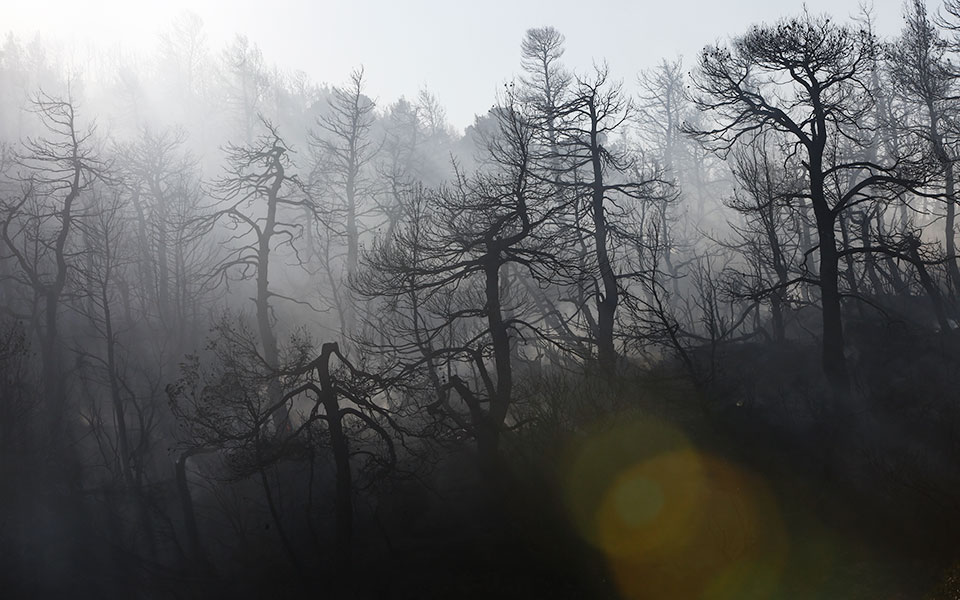 μετά-τις-πυρκαγιές-έρχονται-οι-πλημμύ-561483502