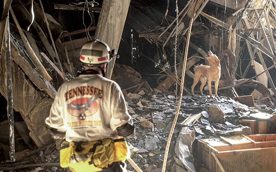 ο-μύθος-του-σκύλου-ήρωα-561508549