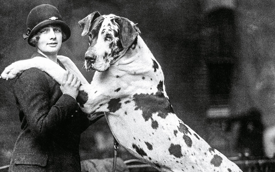 το-σκυλί-που-έμεινε-πίσω-561492250