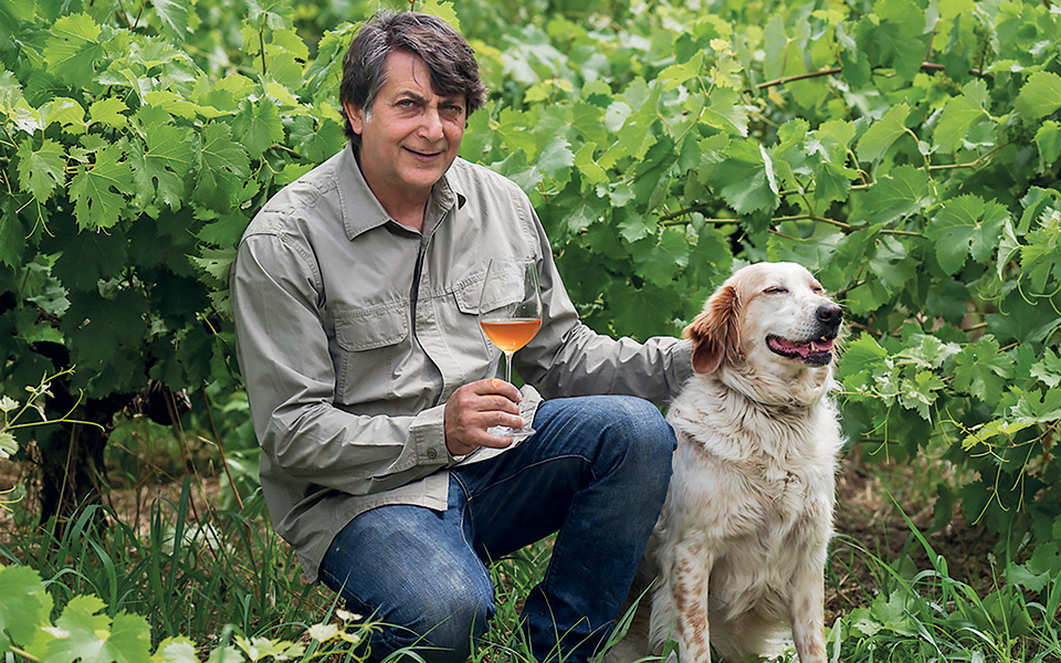 Ελληνικό κρασί λίγο πιο ψηλά-8