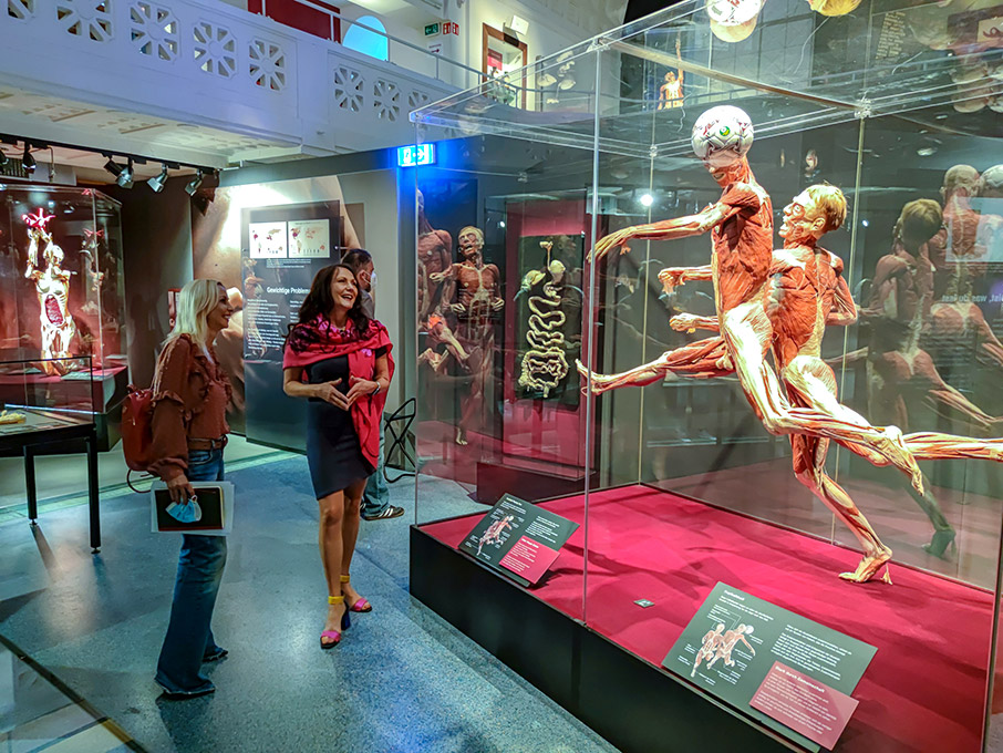 Έκθεση Body Worlds στον «Ελληνικό Κόσμο» του Ιδρύματος Μείζονος Ελληνισμού-1
