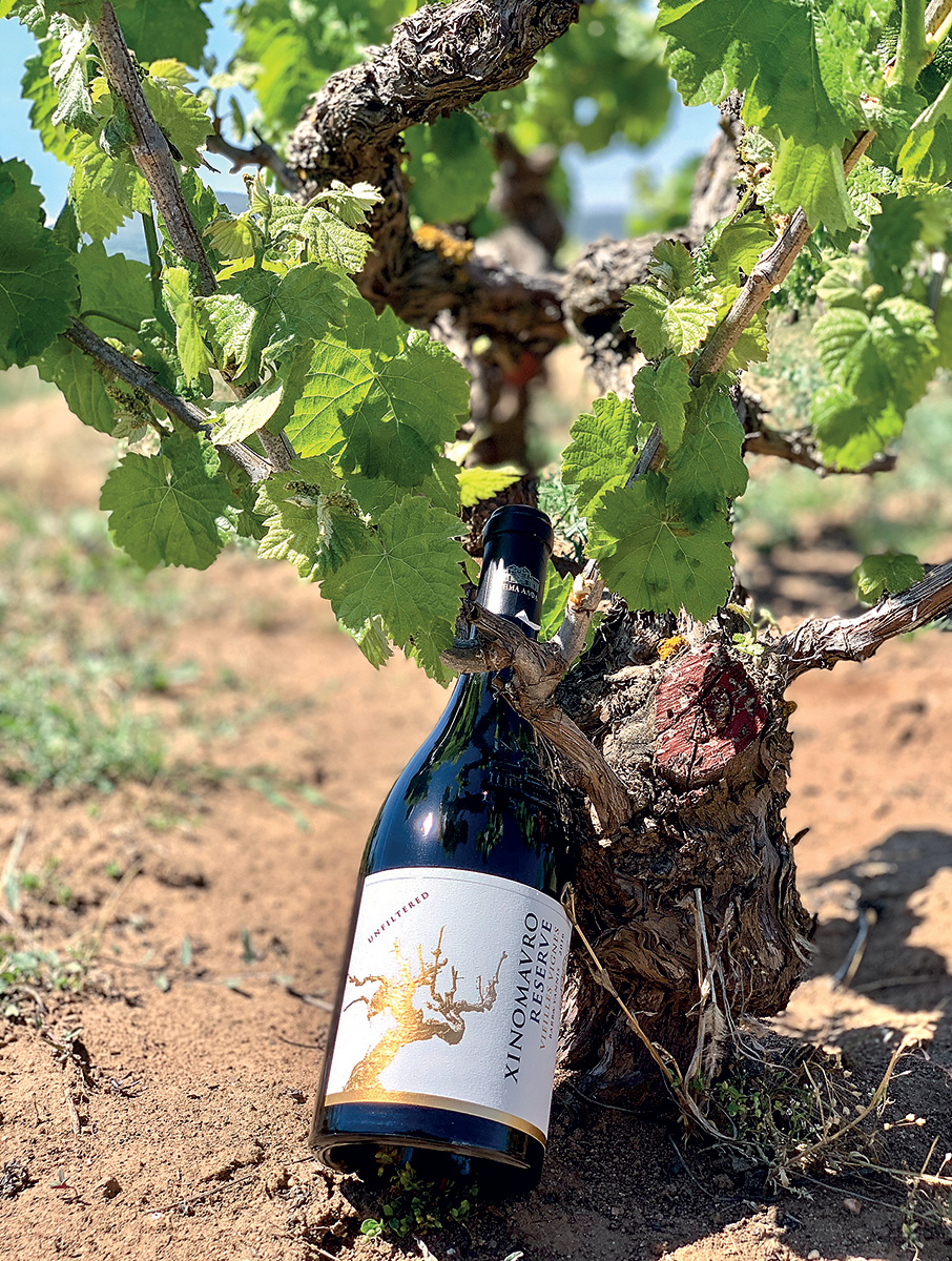 Ελληνικό κρασί λίγο πιο ψηλά-1