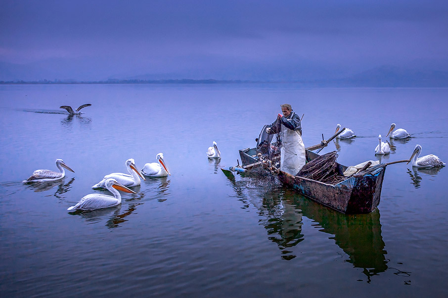 Ζωή στο νερό-5