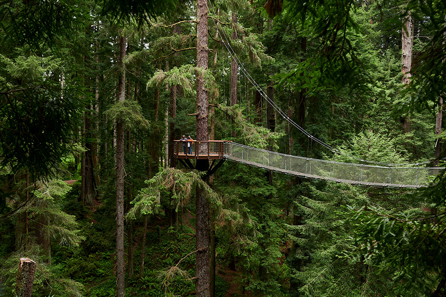Τα παρθένα δάση σώζουν τον πλανήτη-2