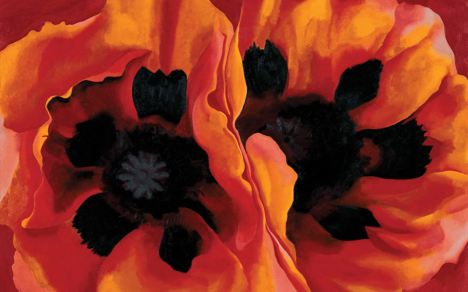 μια-πρωτοπόρος-ζωγράφος-παρακολουθ-561500542