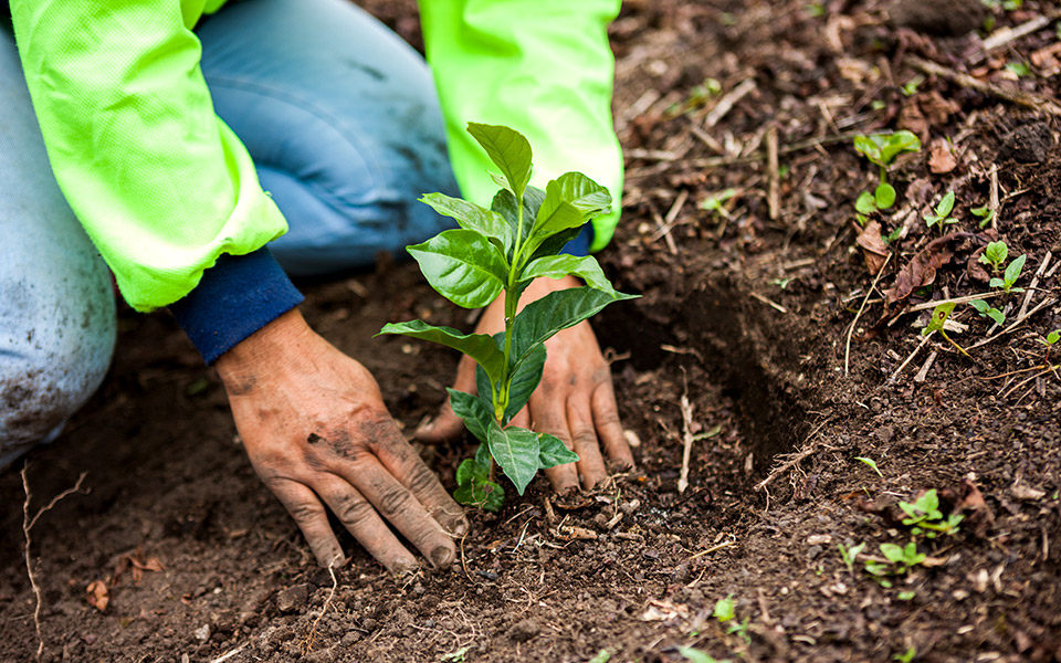η-nestle-παρουσιάζει-το-σχέδιο-της-για-τη-μετ-561505378