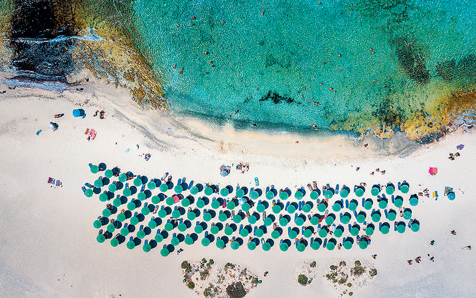 διετές-σχέδιο-δράσης-για-την-προστασί-561512311