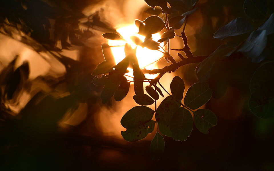 ηλιοφάνεια-και-άνοδος-της-θερμοκρασί-561511468