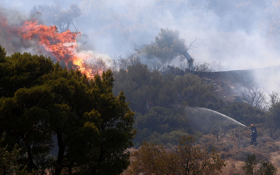 φωτιά-στο-κιλκίς-συνεχίζεται-η-επιχεί-561513955