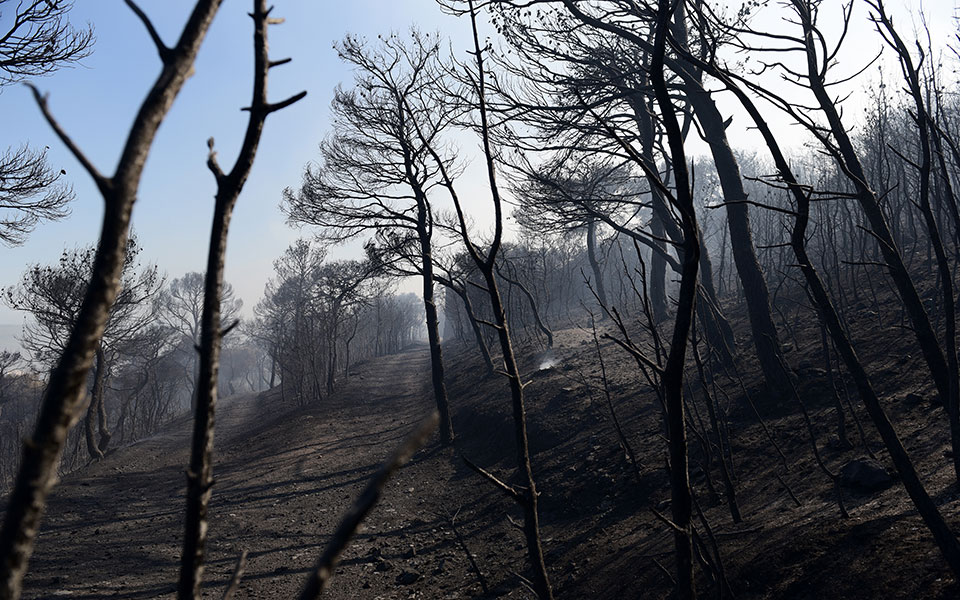στο-φεκ-η-κυα-για-την-αποζημίωση-των-πυρ-561502144