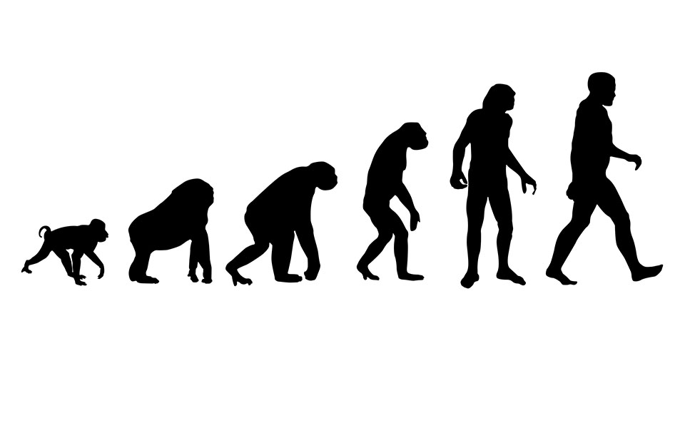 πώς-οι-άνθρωποι-έχασαν-την-ουρά-τους-561508159