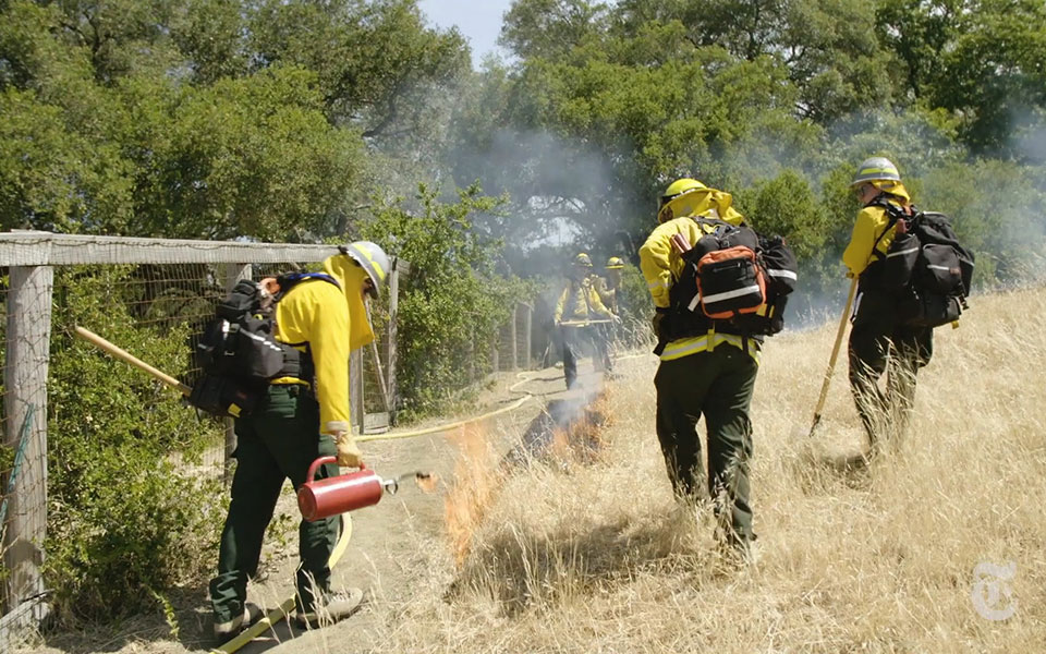 βίντεο-nyt-το-αντιπύρ-ως-εργαλείο-κατά-561516508