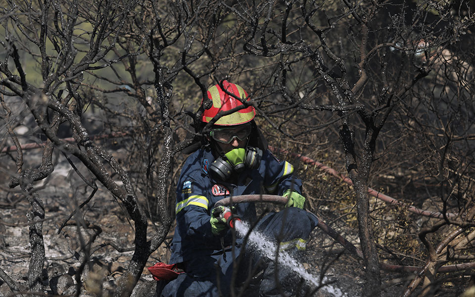 σε-ύφεση-η-φωτιά-στην-ανατολική-μάνη-561509266