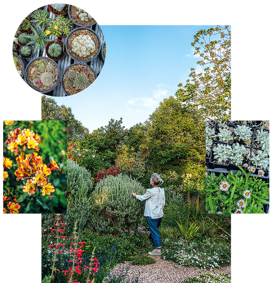 Στην Παιανία των κήπων-2