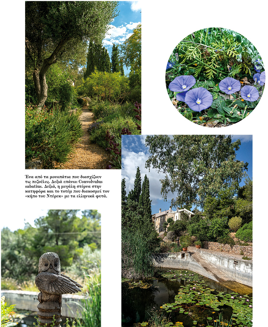 Στην Παιανία των κήπων-5