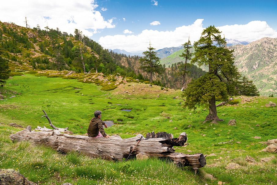 Στη Βάλια Κάλντα-2