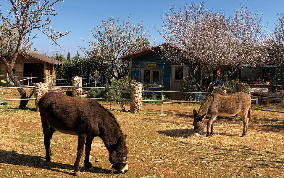 Ένας λιγότερο σκληρός κόσμος-3