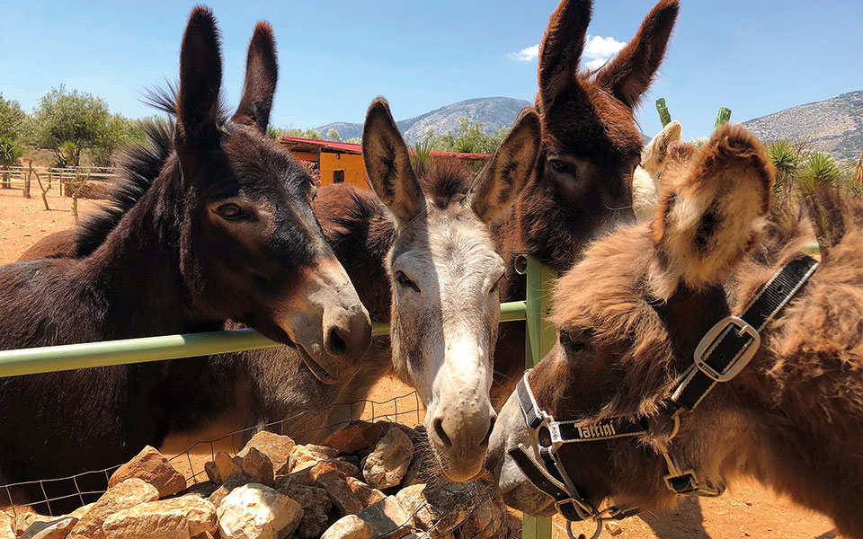 ένας-λιγότερο-σκληρός-κόσμος-561523414