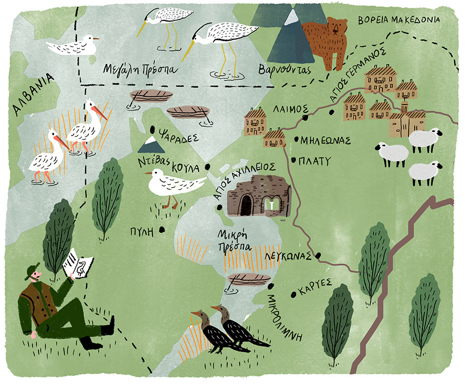 Πρέσπα: Άγρια ζωή στα σύνορα-9