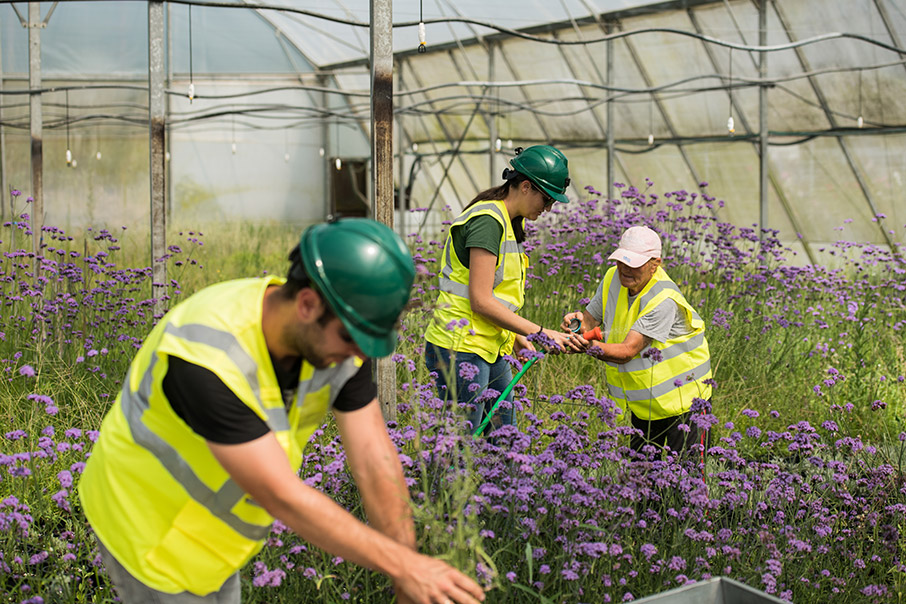 Eldorado Gold: Οδικός χάρτης προς νέες επενδύσεις στη ΒΑ Χαλκιδική-2