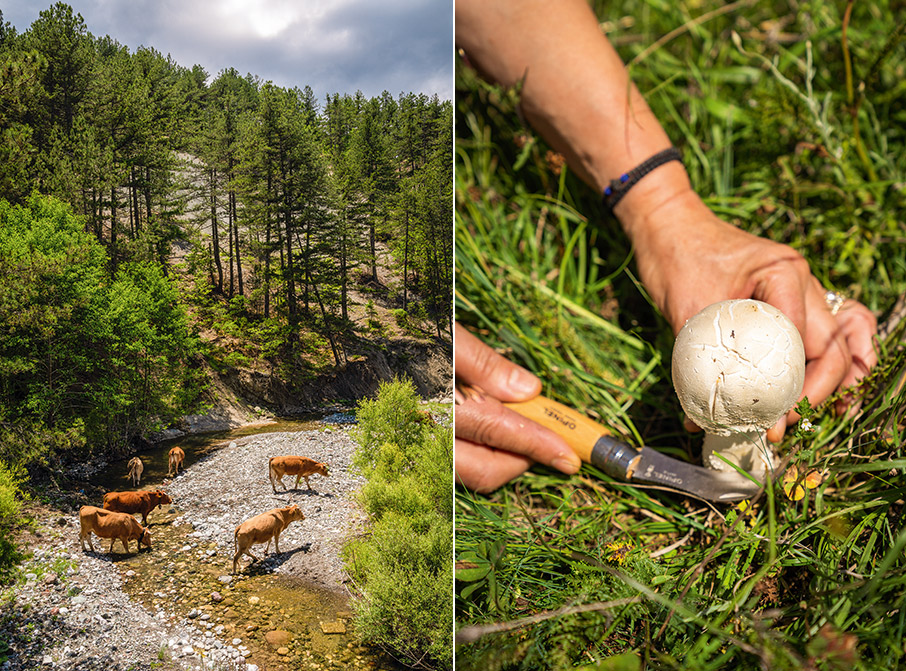 Στη Βάλια Κάλντα-5