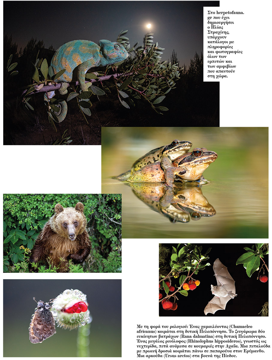 Ένα σχολείο της φύσης-2