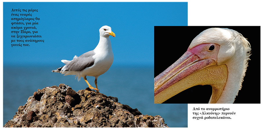 Ένας λιγότερο σκληρός κόσμος-1