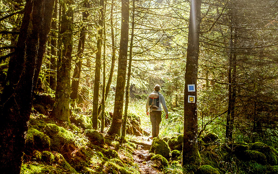 στη-σκιά-του-μαινάλου-561526375