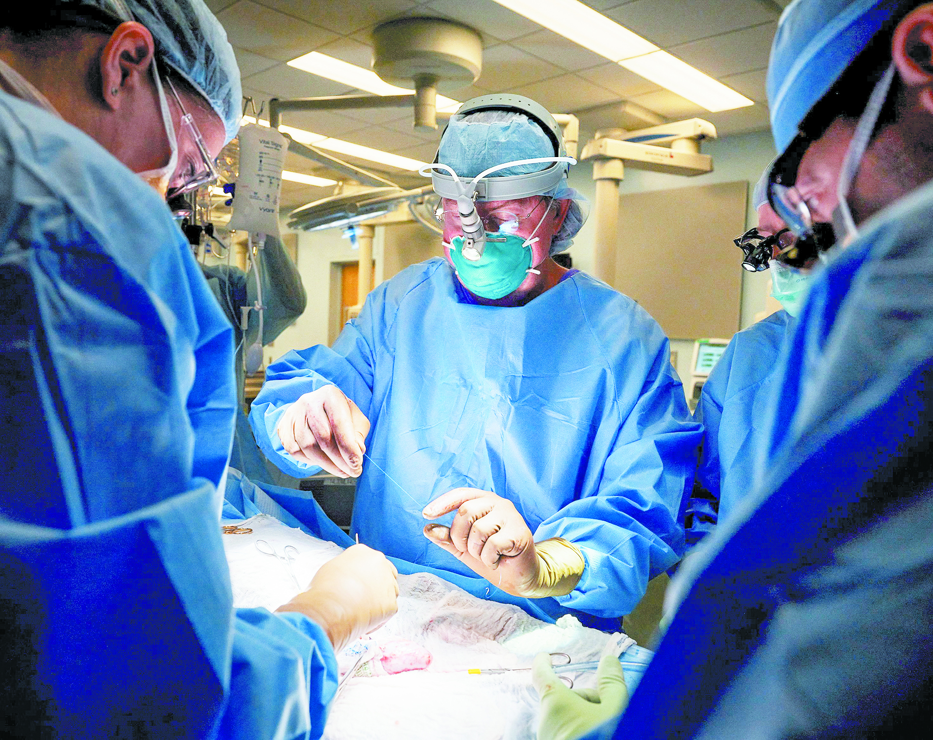 πρώτη-μεταμόσχευση-νεφρού-χοίρου-σε-561549559