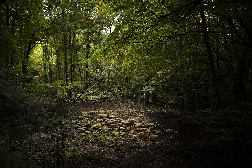 φθινόπωρο-στην-ελλάδα-561545788