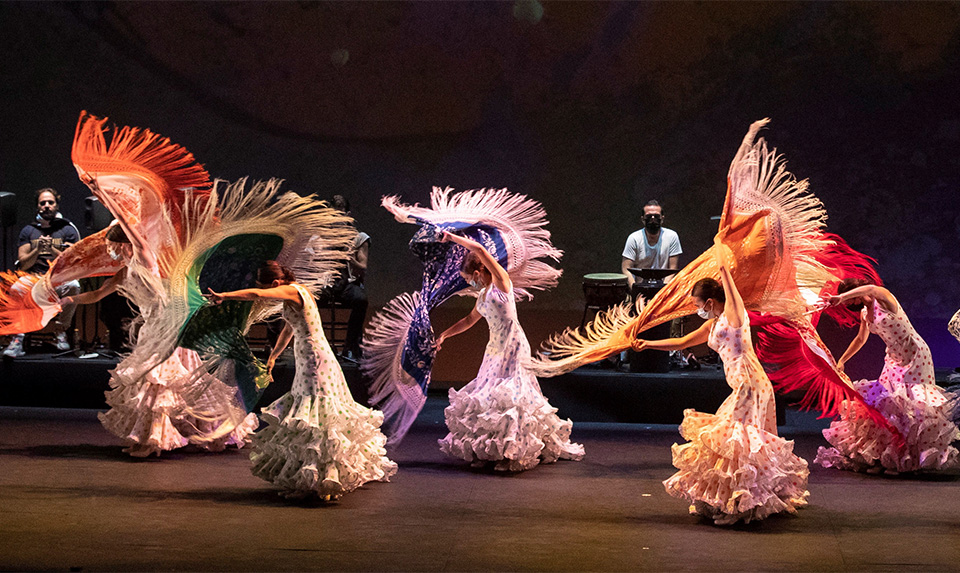 παραδείσια-πουλιά-561527218