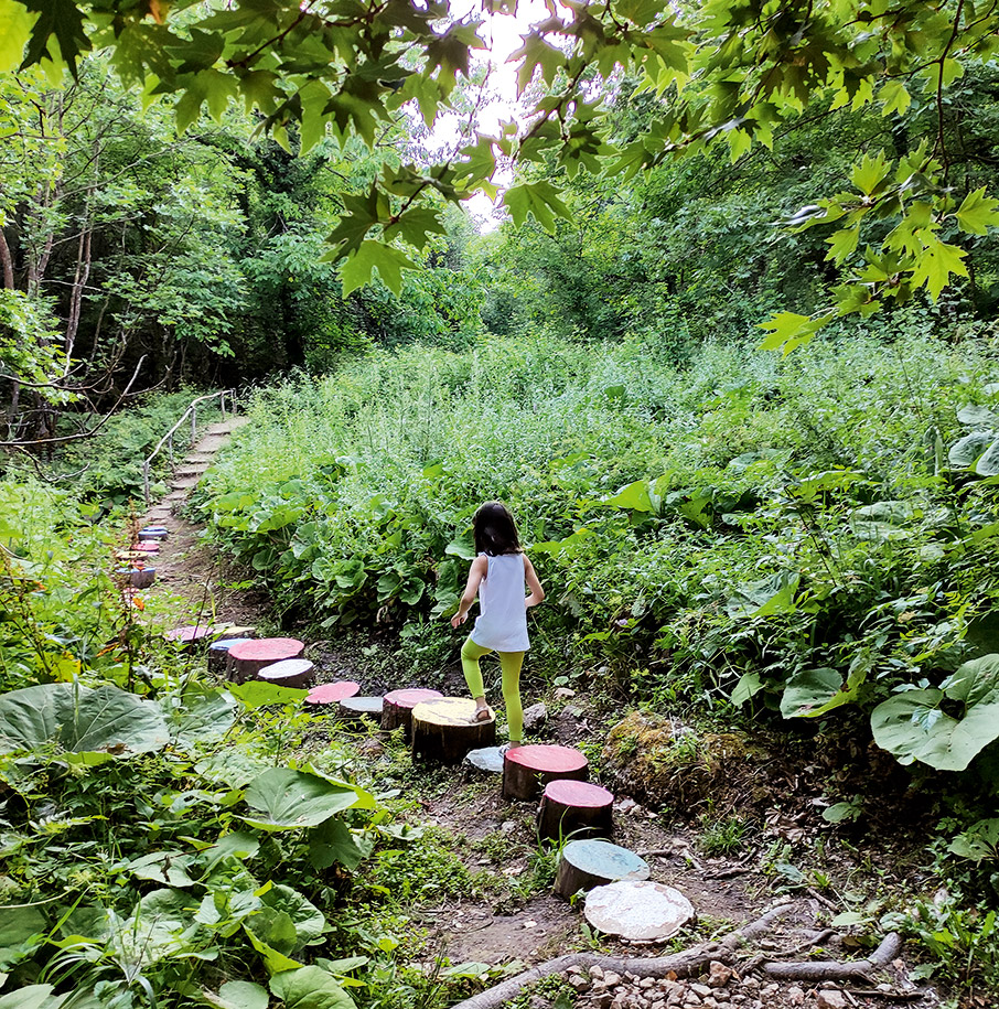Στο αισθητικό δάσος Παύλιανης-3