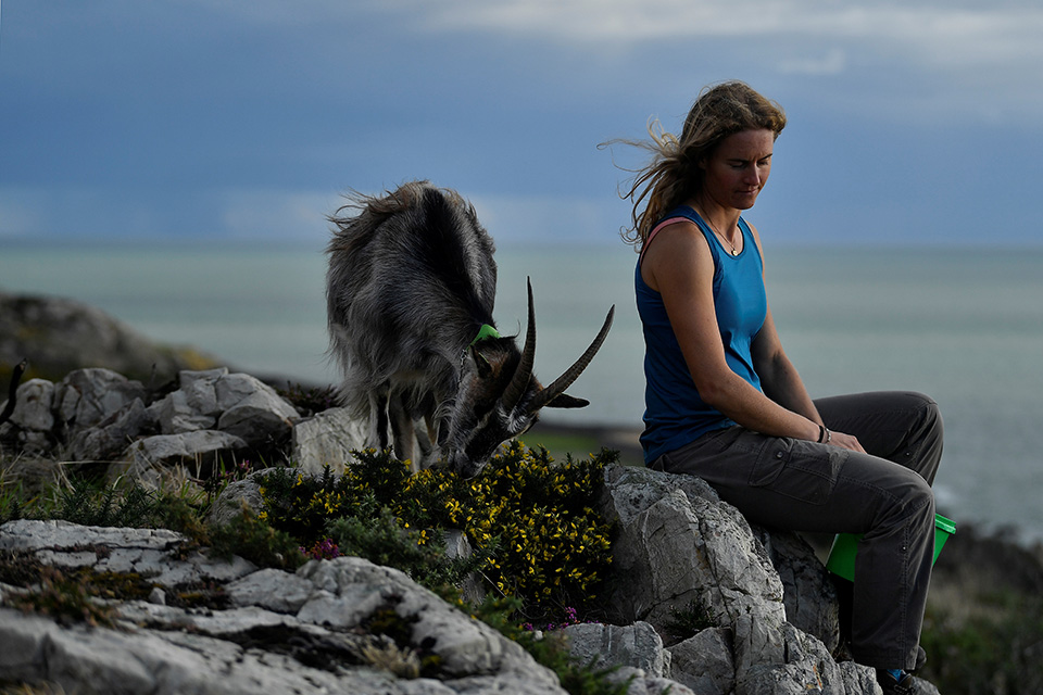 Η βοσκοπούλα