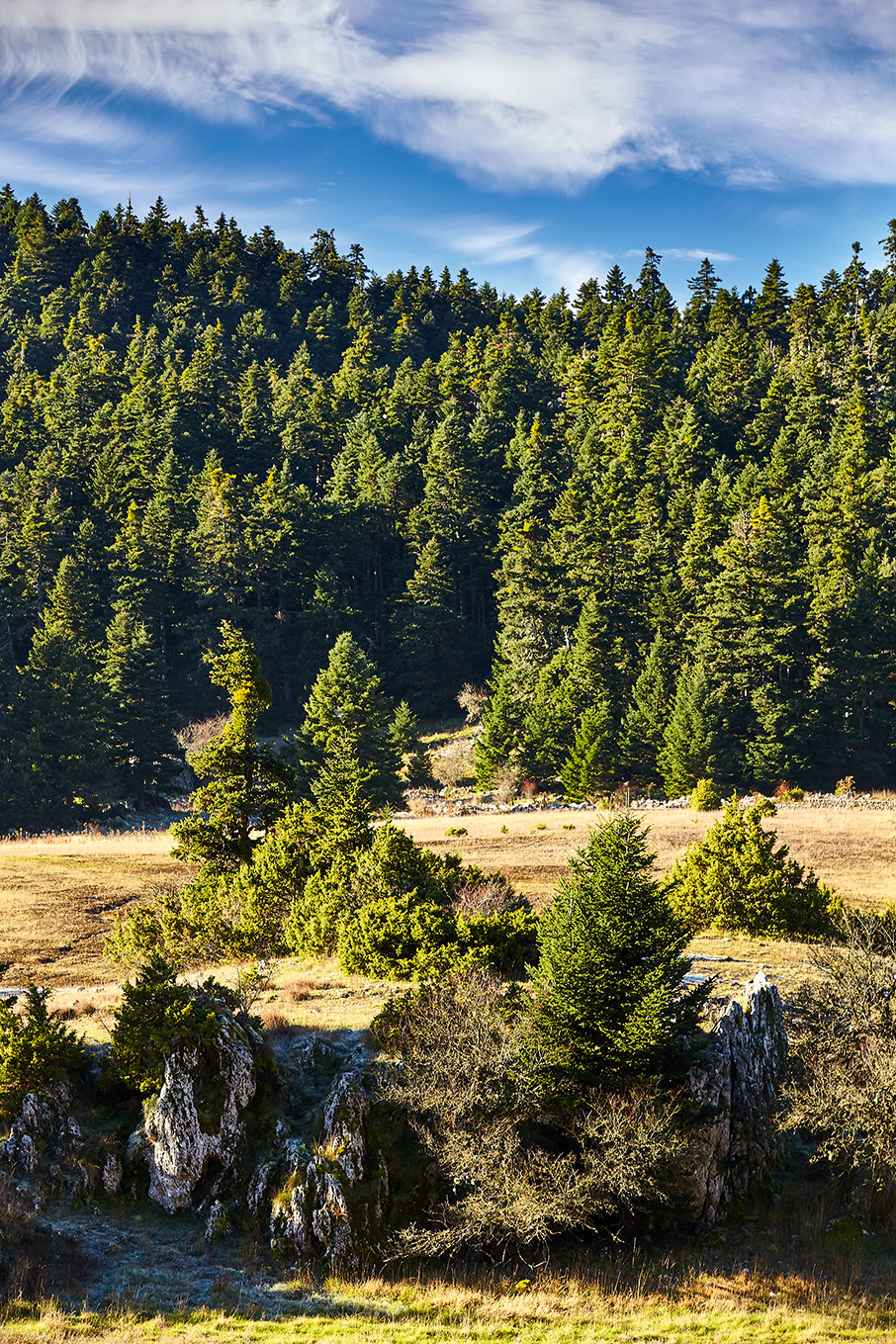 Στα αρχαία μονοπάτια του Παρνασσού-4