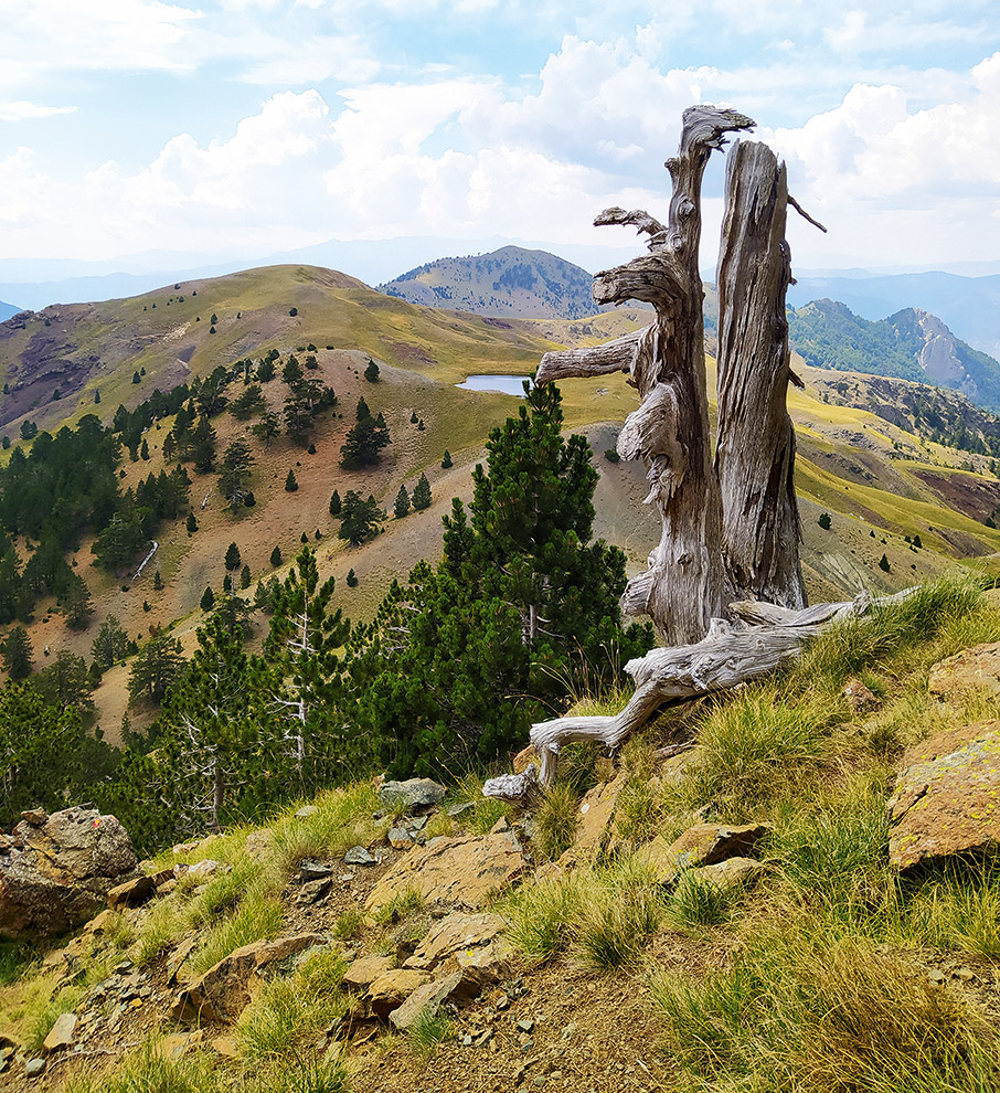 Στην κορυφή του Σμόλικα-1
