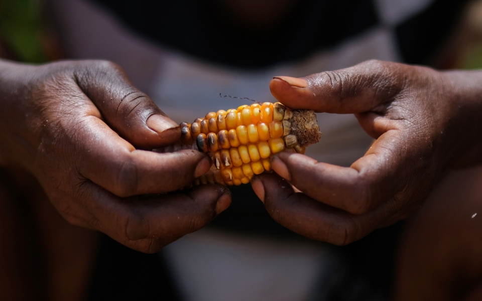 κένυα-η-ξηρασία-απειλεί-εκατομμύρια-α-561541273