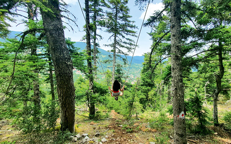 στο-αισθητικό-δάσος-παύλιανης-561520474