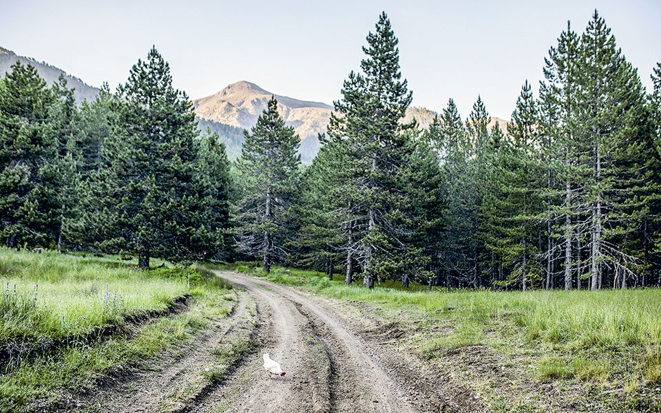 αντιδράσεις-για-επιθεωρητές-περιβάλ-561550336