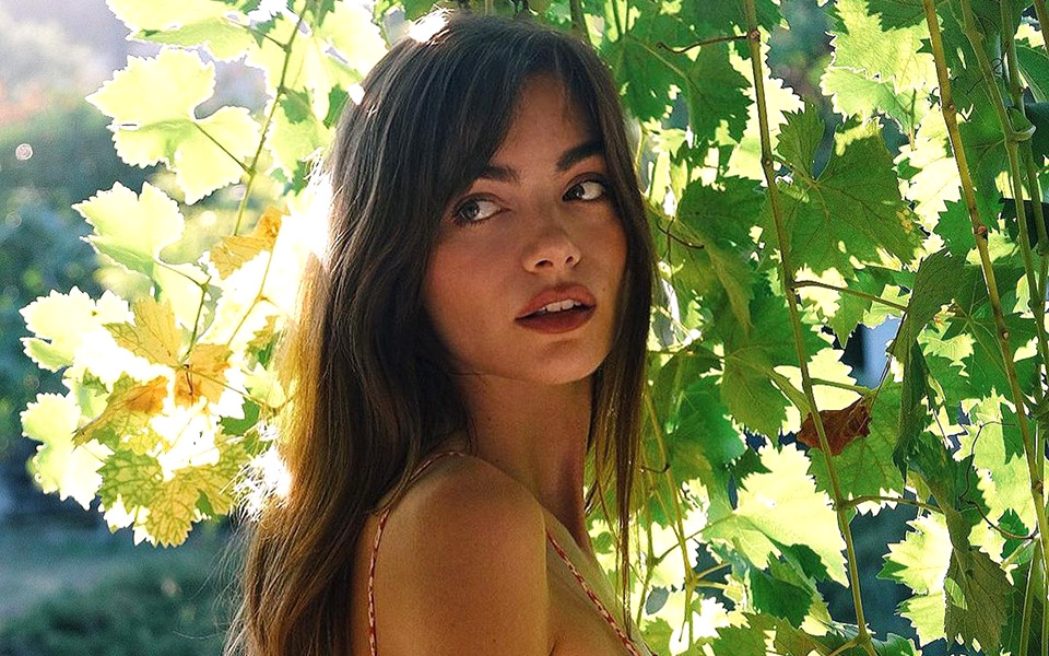 καστορέλαιο-οι-ειδικοί-διαχωρίζουν-μ-561539365