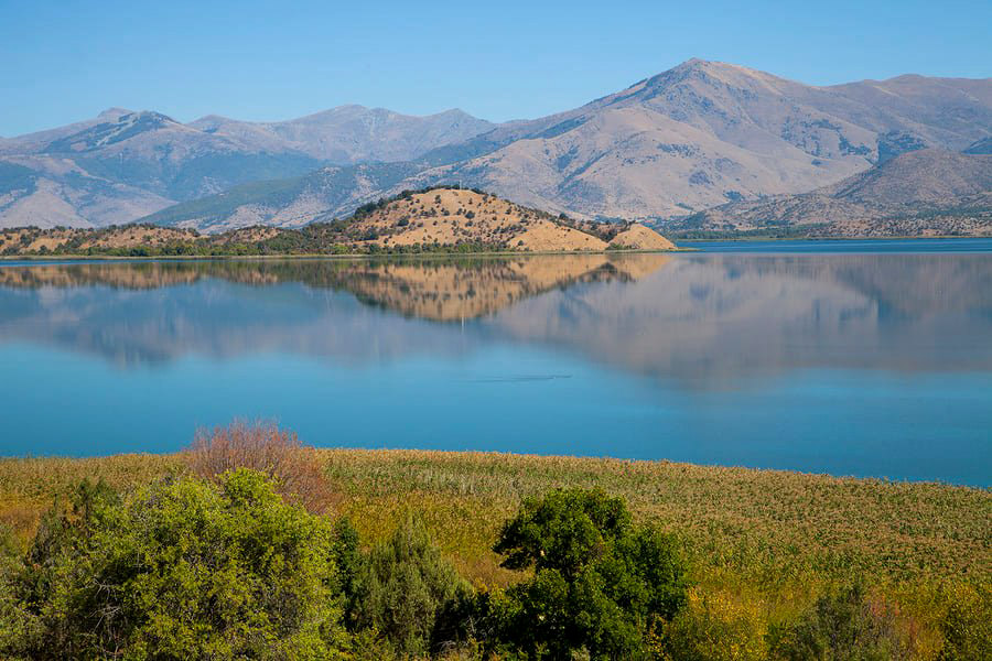 Πρέσπα: Άγρια ζωή στα σύνορα-2