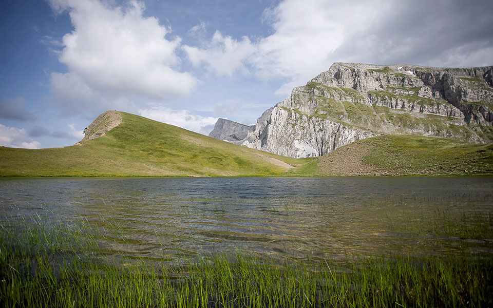απαγόρευση-βόσκησης-σε-δρακόλιμνη-κα-561532474