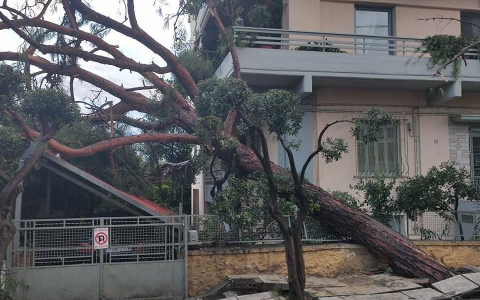 θεσσαλονίκη-δέντρο-έπεσε-πάνω-σε-πολυ-561544405